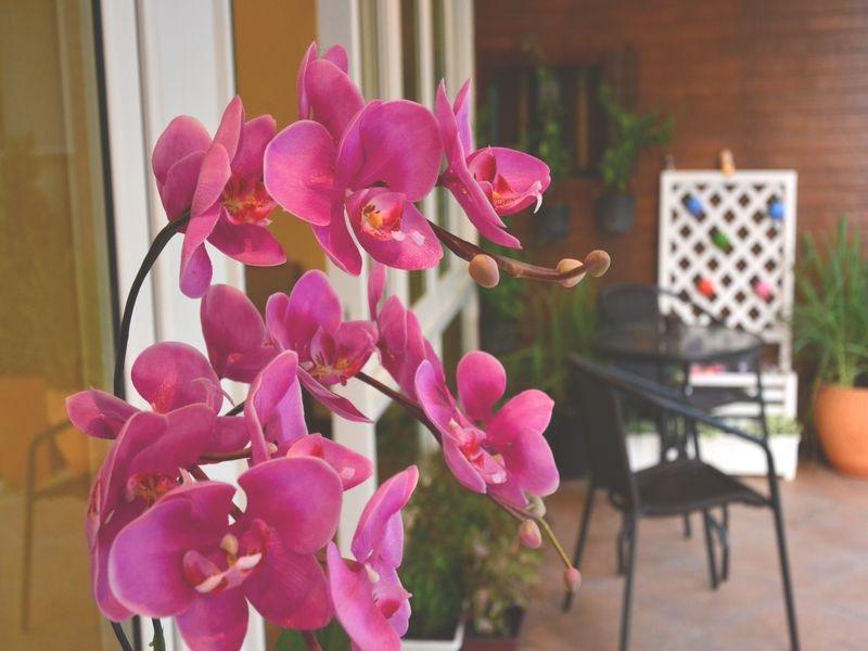 Seedling House Pattaya Bagian luar foto