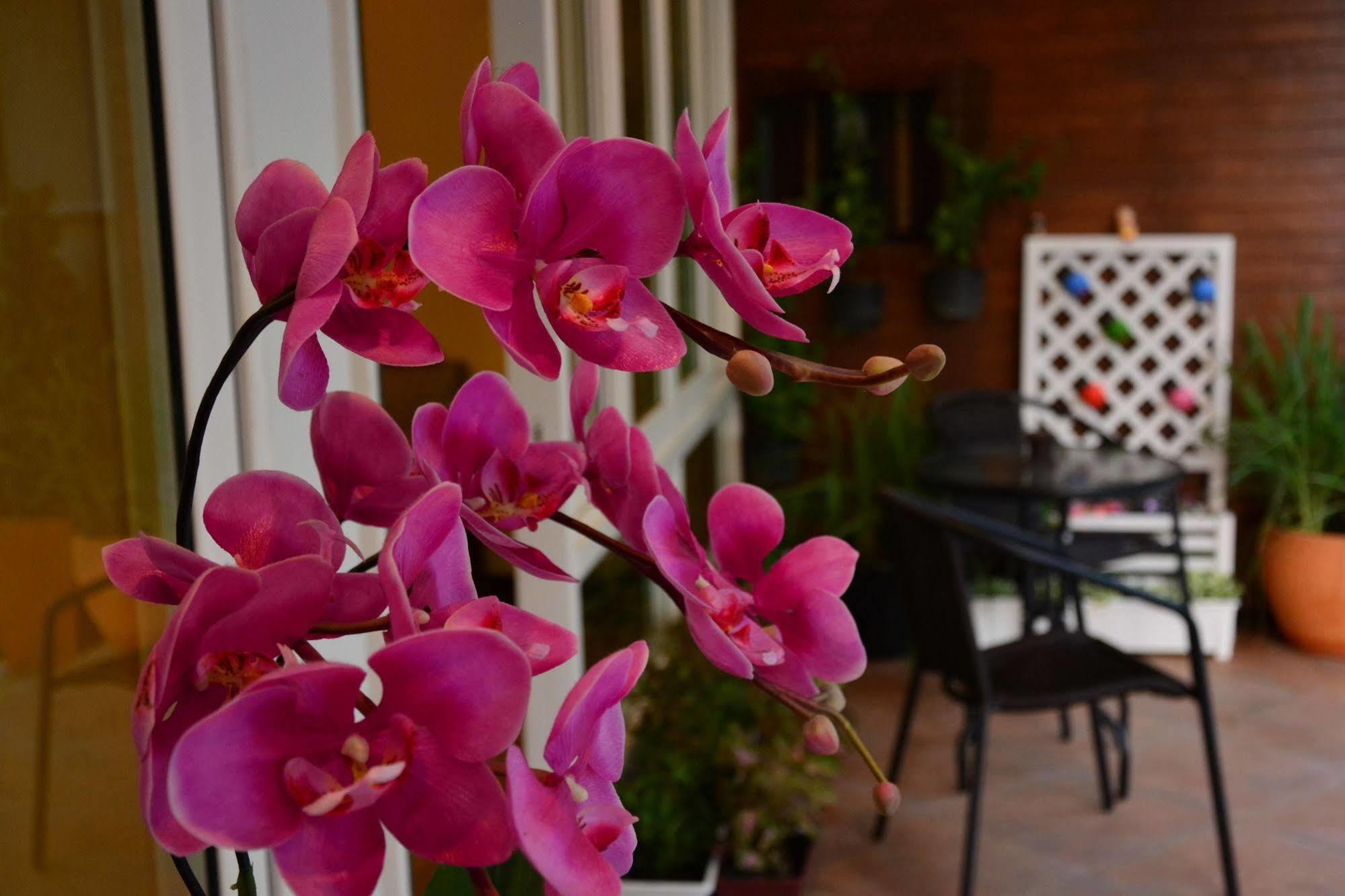 Seedling House Pattaya Bagian luar foto
